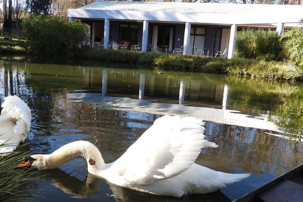 Willow Place Guest House Midrand Eksteriør bilde